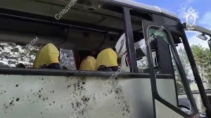 Россия и Белоруссия требуют от ООН осудить террористический удар ВСУ по автобусу в Брянской области.