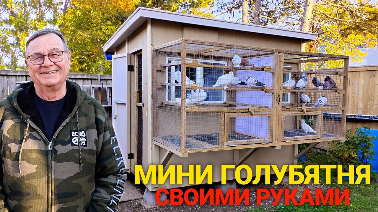 Построил мини голубятню своими руками смотреть онлайн