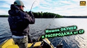 РАСПРОДАЖА снастей CF и массовый клёв окуня!