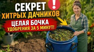 Секрет хитрых дачников Целая бочка мощного весеннего удобрения из ничего всего за пять минут!