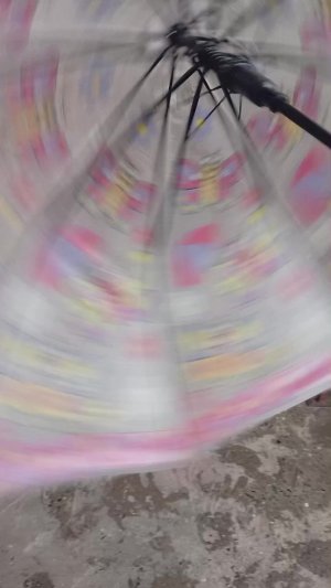дло