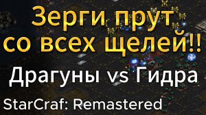 Динамичный СТАРКРАФТ: Бесконечный лимит Гидралисков против Драгунов! Классное мясо в PvZ