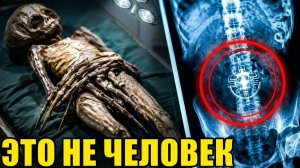 ОНИ СКРЫВАЛИ ЭТО: Мумия из Наска оказалась НЕ ЧЕЛОВЕКОМ