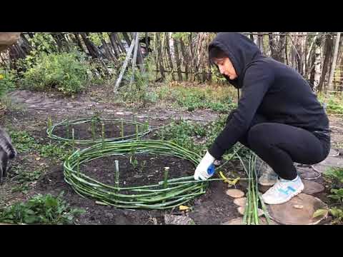 Простая, но красивая клумба без затрат смотреть онлайн