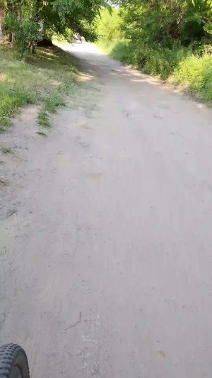катание
