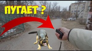 ОТПУГИВАТЕЛЬ СОБАК С АЛИЭКСПРЕСС ТЕСТ. ультрозвуковой отпугиватель собак. тест отпугивателя собак