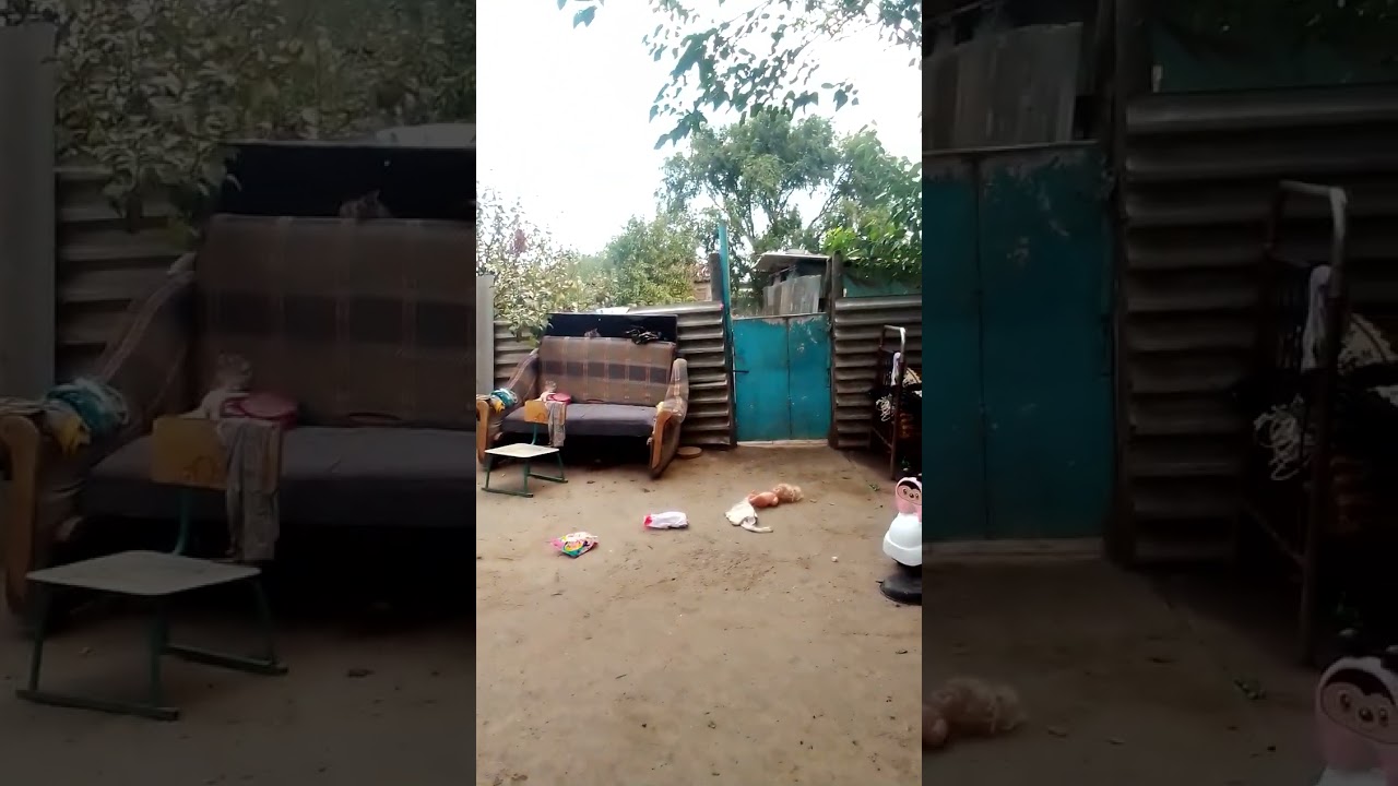 обзор на двор в деревне