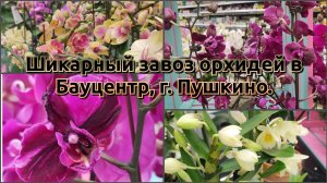 Шикарный завоз орхидей в Бауцентр, г. Пушкино#обзор#2026#video#vlog#flowers