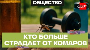 Комары предпочитают потных спортсменов и любителей пива