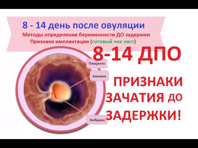 Через Сколько После Секса Появляются Симптомы Беременности Через Сколько После Секса Появляются Симптомы Беременности