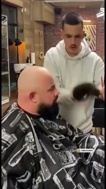 Где! Покажи!😁!