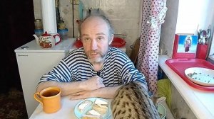 Завтрак с котями. Теперь знаю, она черная риелтор. Мукбанг. Обжор. Еда на камеру. Диета. Шизофрения.