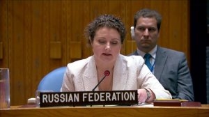 Выступление и.о. Постоянного представителя А.М.Евстигнеевой на заседании СБ ООН по ситуации в Судане