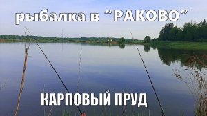 Рыбалка в Раково 2026. Карповый пруд