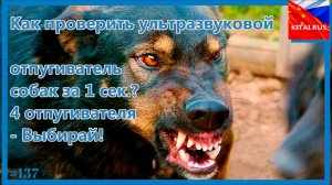 Как проверить отпугиватель собак за 1 сек.? Ультразвуковой отпугиватель собак 4 вида - выбирай! #137