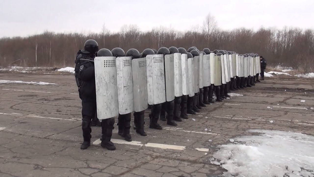Несколько вологжан пытались закидать бойцов ОМОНа и сотрудников СОБРа камнями