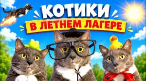 КОТИКИ В ЛЕТНЕМ ЛАГЕРЕ