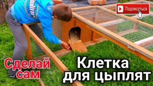 Клетка для цыплят с домиком на колесах своими руками