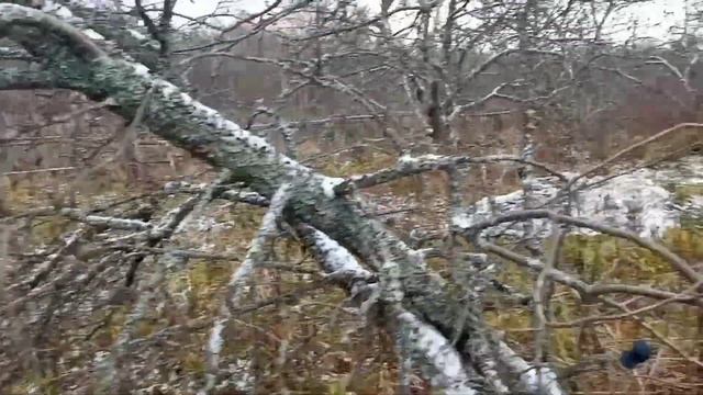 Отдыхаю в Ново Дача и рассказываю много интересного ☺✌👍 смотреть онлайн