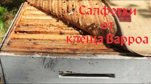 Салфетки от клеща Варроа. Делаем сами. Дешего и эффективно!