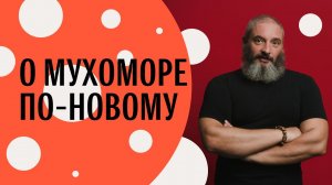 «МУХОМОР. МИКРОДОЗИНГ». Презентация книги. Михаил Вишневский
