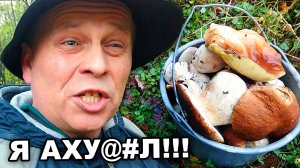 ПОШЕЛ В ЛЕС ЗА ГРИБАМИ И БЫЛ ВООБЩЕ В ШОКЕ!!! (Грибы собранные в лесу 2020)