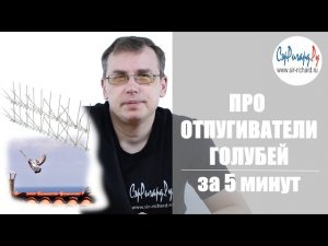 Отпугиватели голубей. Основные средства защиты. За 5 минут.