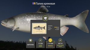 РАЗДАЧИ ПАЛИИ НА АРХИПЕ, РАКУШКИ НА ВЬЮНКЕ, ФАРМЫ НА АХТУБЕ И МЕДНОМ В РУССКОЙ РЫБАЛКЕ 4 РР4