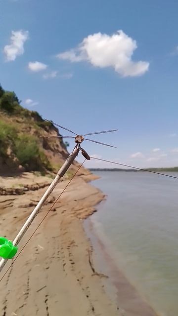 А это просто в конце нашей рыбалки такая красота. В общем поймали 9 кг разной рыбы. смотреть онлайн