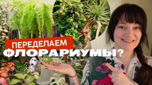 Флорариум своими руками: растения, грунт, лампы, жители, стрижка, прополка и переделки