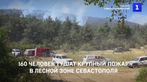 160 человек тушат крупный пожар в лесной зоне Севастополя