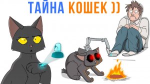 Комиксы. Тайна кошек ))) | Мемозг 1770