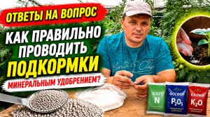 Вы всё ещё боитесь этих подкормок?