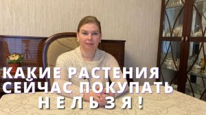 Какие растения нельзя покупать в конце зимы - начале весны