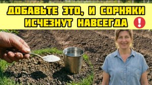 1 минута - и участок чистый ! Этот способ уничтожает сорняки навсегда!