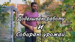 У нас в планах было сделать больше. В Городском Доме огород стал лучше. Теперь ворота готовы на 100%