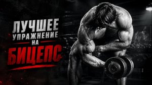 Забудь про генетику: Как построить пик бицепса с нуля