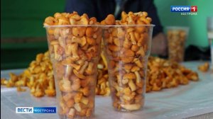 На костромских рынках появились первые дары леса