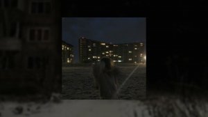 Плейлист чтобы уйти в тотальный тильт? /// playlist