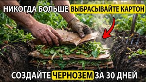 «Никогда больше не выбрасывайте КАРТОН! СЕКРЕТ создания богатой ЧЁРНОЙ почвы за 30 ДНЕЙ»