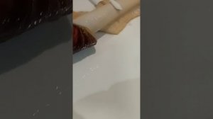 купаем улиток и просим у них интервью :)