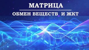 Часть 2 Коррекция Обмена Веществ и Работы Пищеварительного Тракта💎Матрица Гаряева💠Исцеление Звуком
