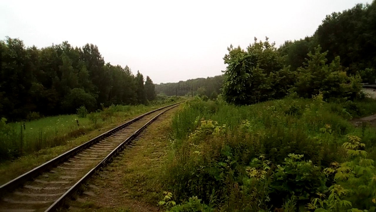 Два Тепловоза 2м62у 0221 и ЧМЭ3 3206 следуют по перегону Металлист Светогорск окт смотреть онлайн