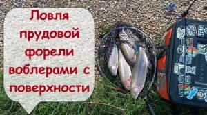 Ловля прудовой форели воблерами с поверхности