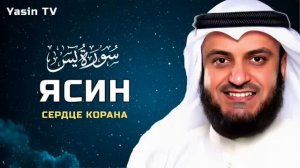 Красивое чтение Корана сура Ясин, Сердце Корана! Мишари Рашид Аль - Афаси/ Yasin TV