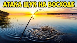 Переиграла, но не победила: Щучий бой на рассвете. Рыбалка на спиннинг.