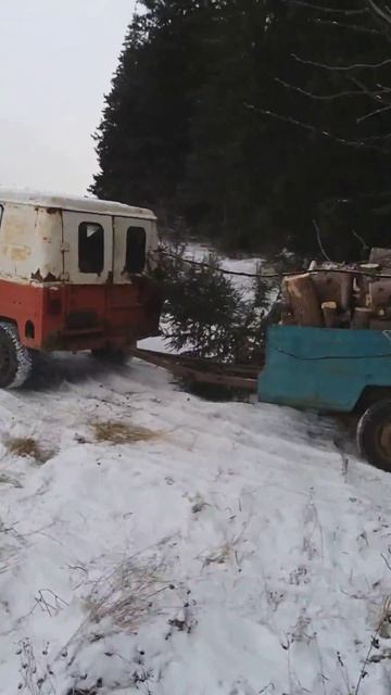Луаз. Вывозим дрова.