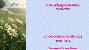 СП «Носочки с Таней» 2026 отчёт июнь