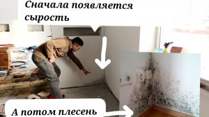 Плесень на стенах. Как избавиться от плесени. Чем убрать плесень. Мокрые окна. В углах грибок.Ч1