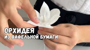Орхидеи из вафельной бумаги получатся у всех! Декор для торта просто и быстро!